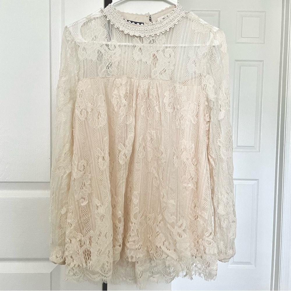 Taylor & Sage White/Cream Lace Long sleeve Top